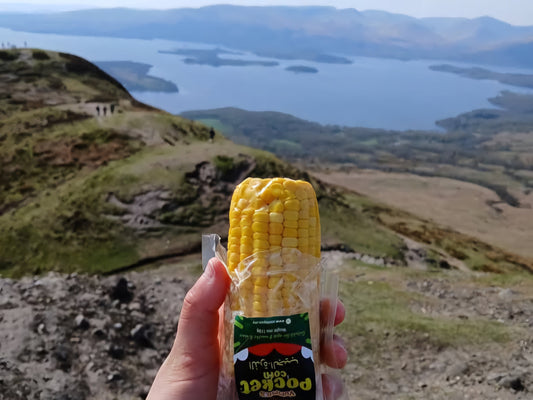 Scotland!